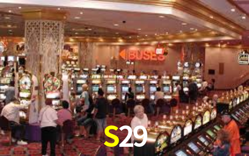 APP oficial da S29 para mobile